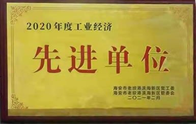 熱烈祝賀我公司獲得2020年“工業(yè)經濟先進單位”稱號